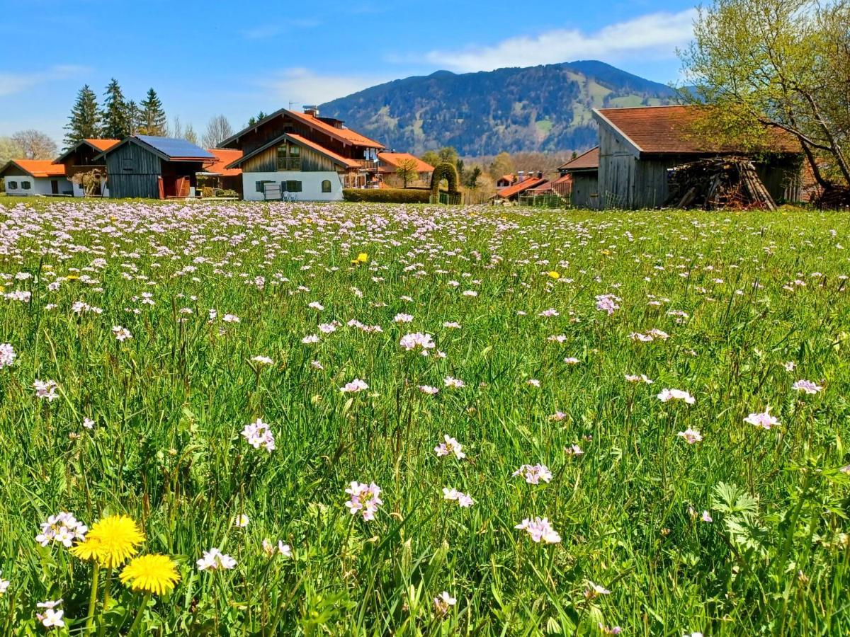 Ferienwohnung Geierstein Wackersberg Buitenkant foto
