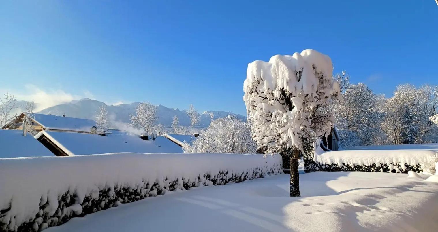 Ferienwohnung Geierstein Wackersberg Buitenkant foto